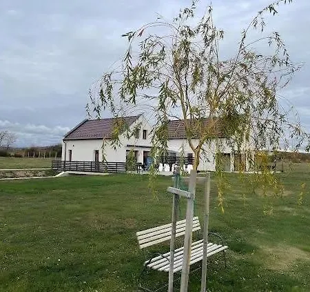 Vila Twin Garden *